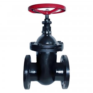 閘閥Z41T-10 PN1.0 DN50 鑄鐵法蘭式